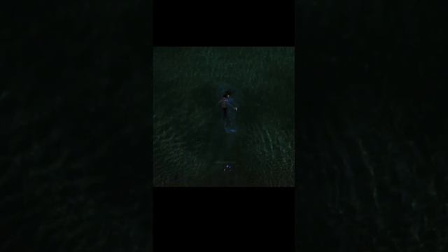 Зимородок 40 серия