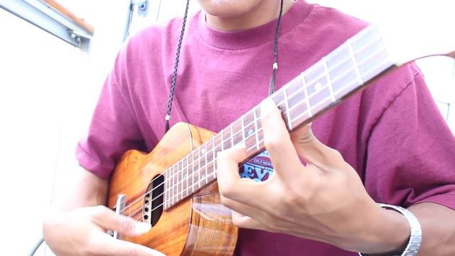 My Heart Will Go On - ukulele смотреть онлайн