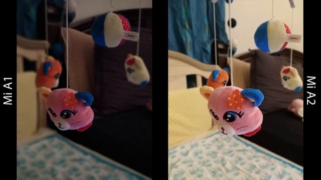 Mi A2 Vs Mi A1 Camera Comparison