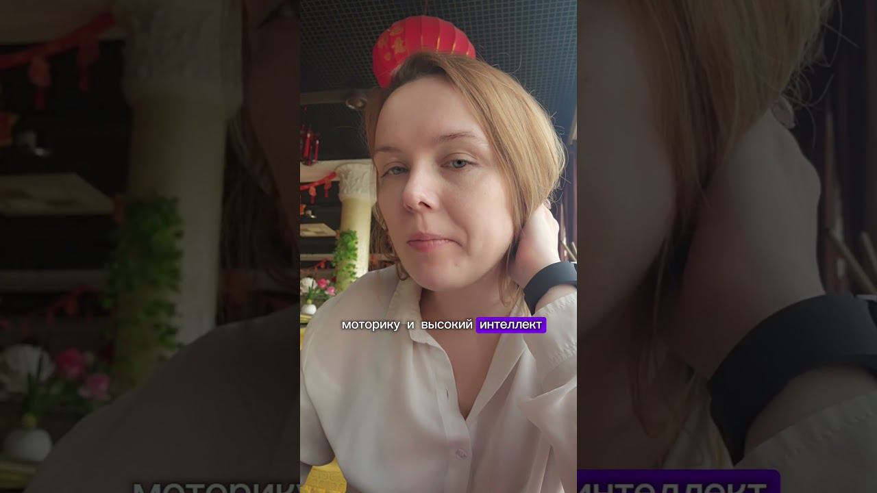 корейцы не всегда едят палочками #корея #замужемзакорейцем смотреть онлайн