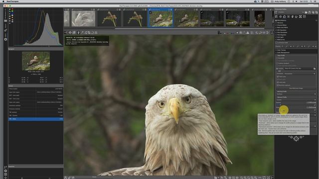 Topaz Denoise AI v3.6.1 Raw Noise Reduction & Simple Raw Therapee Process. смотреть онлайн