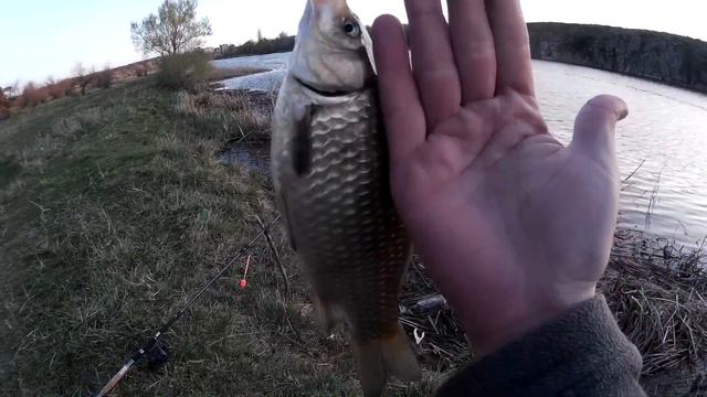 Рыбалка в лозоватке на карася 12.04.2017 г смотреть онлайн