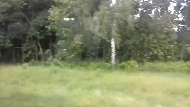 от Мытищи до Подлипки Дачные смотреть онлайн