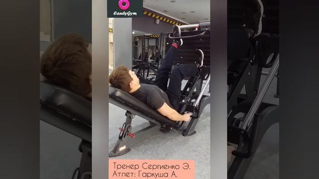 Варианты положения ног в тренажёре жим ногами в тренажёре смотреть онлайн