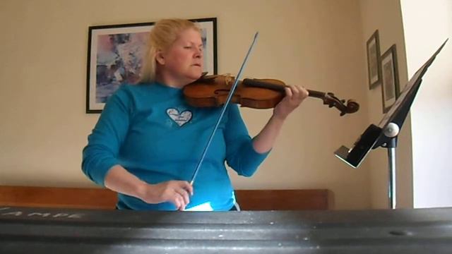 Sinfonietta Violin DM Scale 2012-1/1