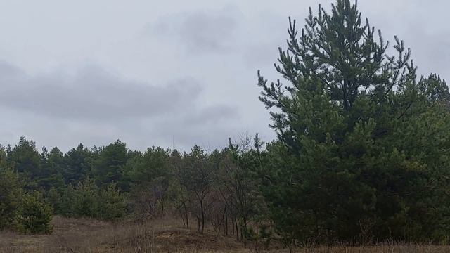 1 января праздник Новый год.Что можно и нельзя делать.Новогодние приметы.Народные приметы и традици смотреть онлайн