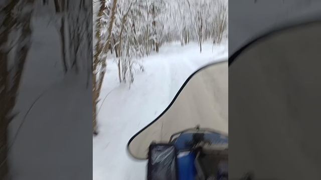 Sharmax 680 доработки. Зимний лес.