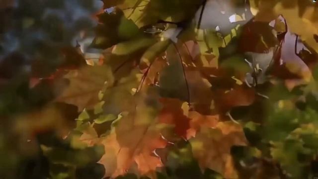 Ах,эта осень золотая! Музыка П. Чайковский "Вальс цветов" смотреть онлайн