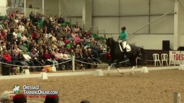 Dressage Training To Increase Your Scores By Carl Hester And Richard Davison