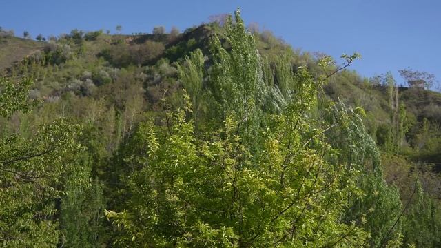 The Woman Lives Alone Top Of The Mountains. Cooking Traditional Uzbek Dinner.