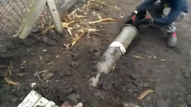 Как научить ягдтерьера заходить в нору смотреть онлайн