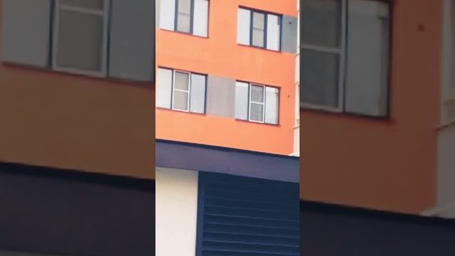 москитные сетки установка.РЯЗАНЬ смотреть онлайн