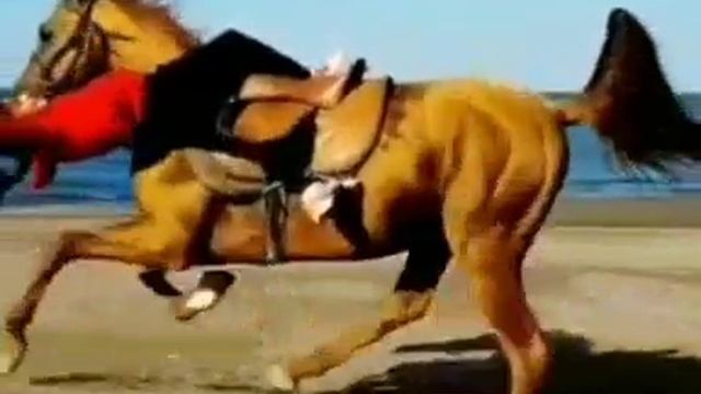 2_5323735636975289913.mp4