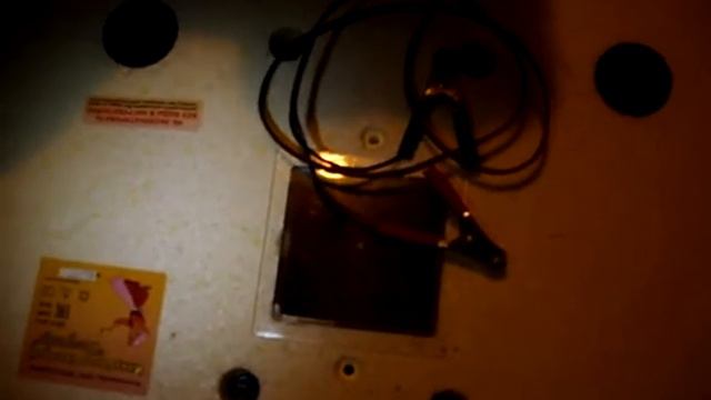 закладка яиц в инкубатор "Золушка" на 98 шт. смотреть онлайн