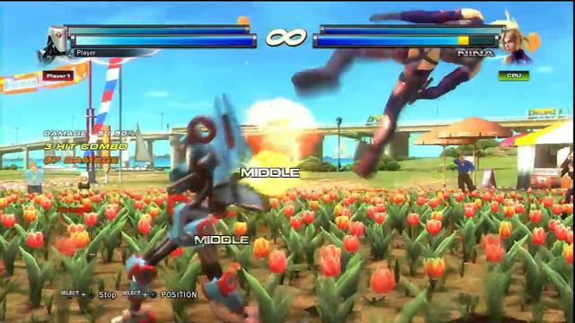 Tekken Tag Tournament 2: Combot 10 Frame Launcher смотреть онлайн
