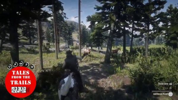 Red Dead Redemption 2: Wild Paint Horse Location | American Paint Horse | Female Voice Guide