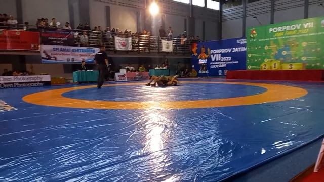 Grego wrestling Men's east java indonesia #wwe #wrestling #eastjava смотреть онлайн