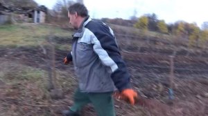 Что такое подвой и как его вырастить ?