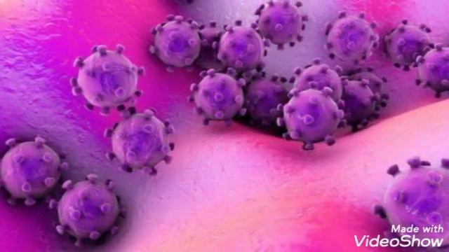 Сывородка от Коронавируса (covid-19) из Турции. смотреть онлайн