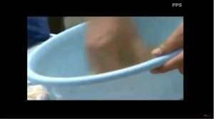 2 Большие караси