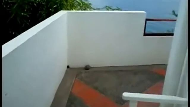 Trip to Tobago (Trinidad and Tobago) смотреть онлайн