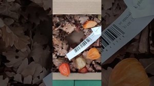 И это букеты?!Декор в  мусор!Срез в НИДЕРЛАНДСКОМ магазине #цветы#орхи#фаленопсис #пеларгонии#розы