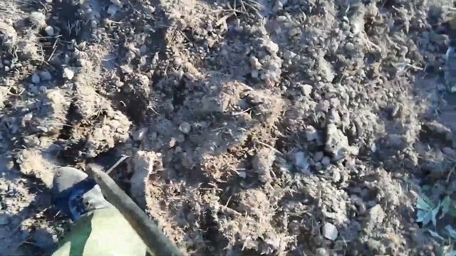 Первый коп с Makro multi kruzer. смотреть онлайн