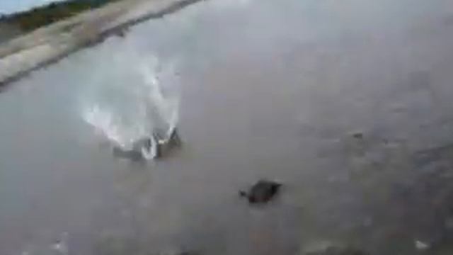 ХАРИУС В НЕВОЛЕ смотреть онлайн