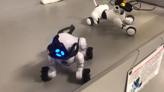 Каролина ездила смотреть на Роботов :) смотреть онлайн