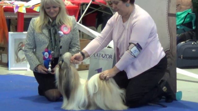 моно.30.11.2013 класс чемпионов НКП смотреть онлайн