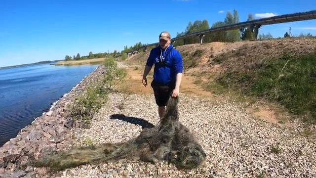 Мой первый сом/Вытащил сеть/озеро Удомля смотреть онлайн