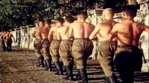 Солдат Иван Бровкин