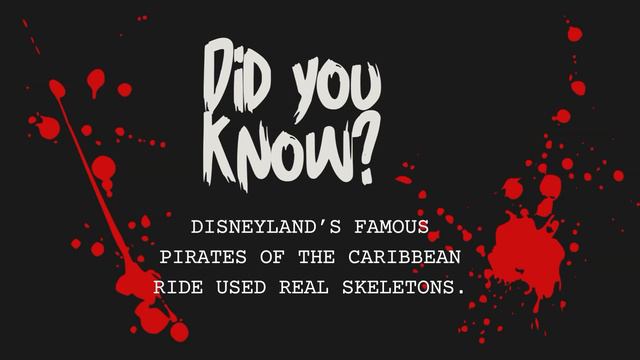 October 5, 2023 | Tiger 5 смотреть онлайн