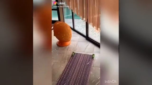 ТМТ "Щелкунчик" г. Оренбург поздравляет с Днём космонавтики!"(11) смотреть онлайн