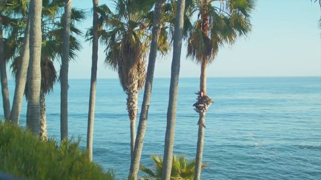 Спокойная музыка для медитации - Мeditation music смотреть онлайн