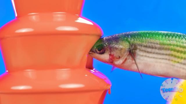 Шоколадный Фонтан Челлендж | Сумасшедший челлендж C TeenDO Challenge