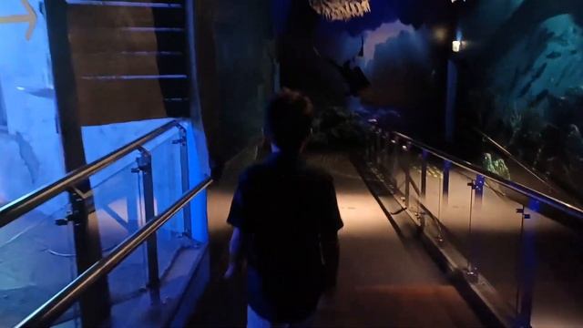 Sharjah Aquarium Tour 2022/Maritime Museum Tour 2022/Al Khan Beach Sharjah | Sharjah Aquarium смотреть онлайн