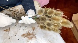 Букет из ВОРСЯНКИ Ворсянка лесная. Эффектное растение. Ворсянка во флористике