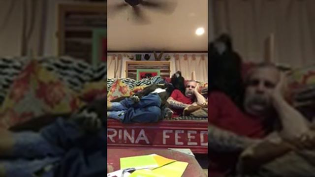 дог и хозяин прилегли смотреть онлайн