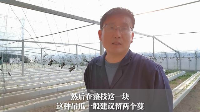 礼品西瓜水培种植方式，一亩能栽3000棵，管理也简单 смотреть онлайн