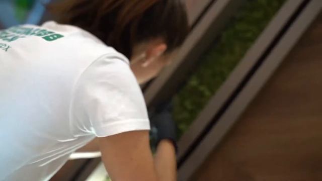 DECOMOSSBG интериорни инсталации от скандинавски мъх смотреть онлайн