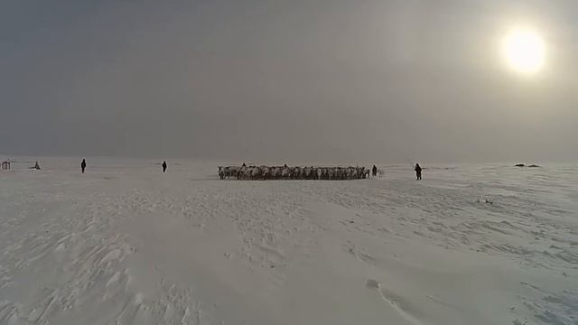 FILE0092 смотреть онлайн