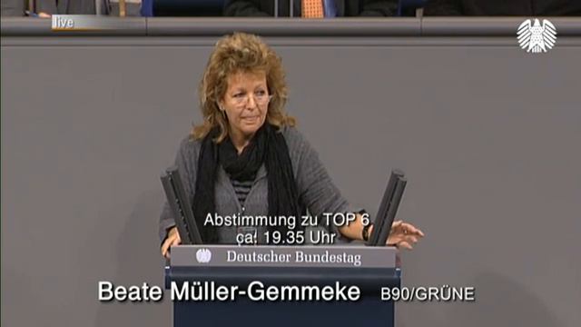 Rede zu Bagatellkündigungen 09-02-10 смотреть онлайн