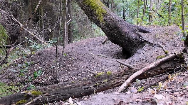 ГОРОД БАРСУКОВ-2023, июль 7-12 смотреть онлайн