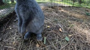 "Ингала" Санаторий-SPA-Отель. Июль 2022. г. Заводоуковск.