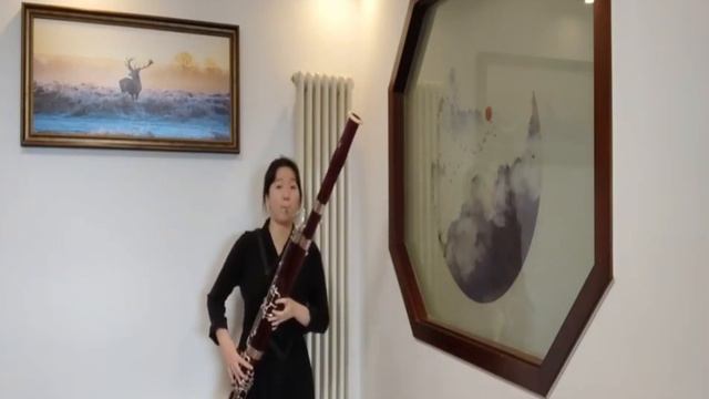 M. Allard: Paganini Variations, Yao LU(16 years), Bassoon смотреть онлайн