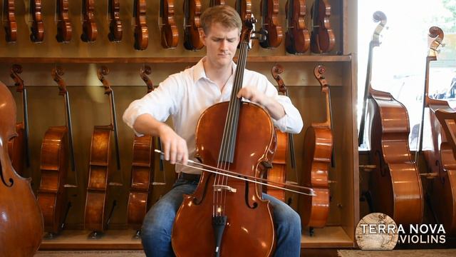 Terra Nova Concert Model Cello смотреть онлайн
