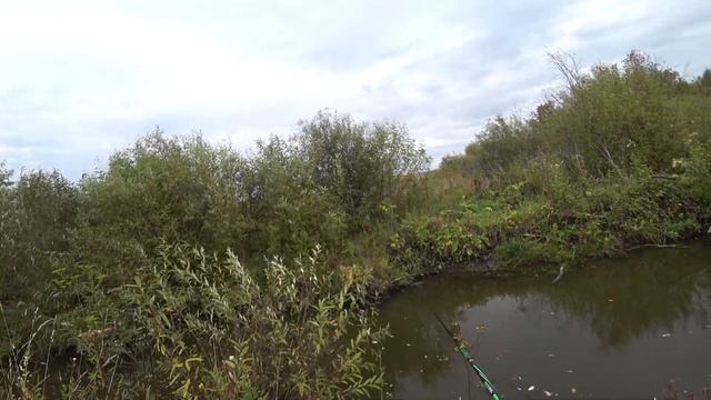 С женой на рыбалку. Рыбалка на поплавок. Осенняя рыбалка. Рыбалка 2021.Рыбалка на карася! смотреть онлайн