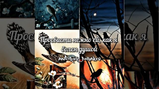 Максим Трошин - Соловей [Текст] смотреть онлайн