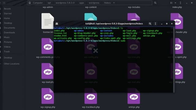 WORDPRESS LOST PASSWORD RESET || ? смотреть онлайн